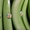 фрукты бананы продам - Изображение #1, Объявление #268980